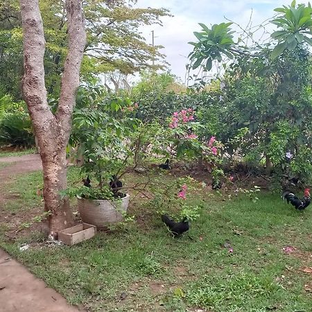 Chacara Pousada Sagui Κουιαμπά Εξωτερικό φωτογραφία
